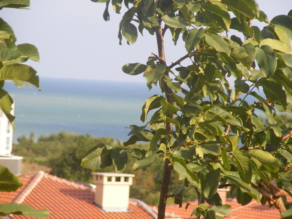Guest House "Zora - Sarafovo" Burgas Exterior photo